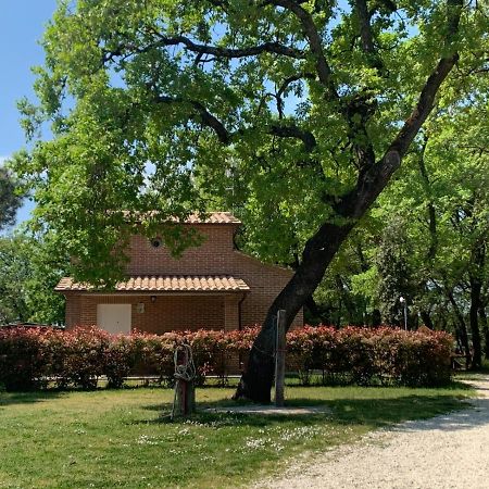カスティリオーネ・デル・ラーゴ Casina Mirianoヴィラ エクステリア 写真
